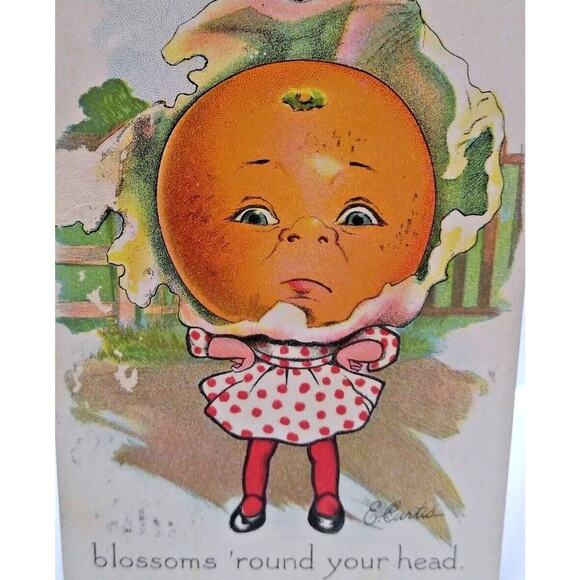 Fantasy Postcard Tuck E Curtis Orange Face Anthropomorphic Girl Series 2 1908 - Picture 1 of 3